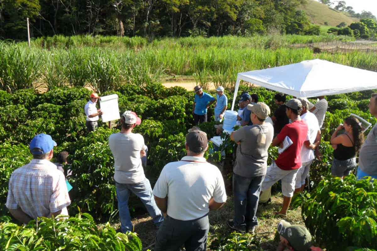 Agrobioturismo y bioeconomía: la alianza estratégica para el mercadeo territorial